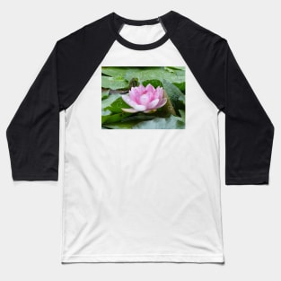 Pink water lily Baseball T-Shirt